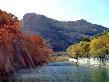 澳门二四六天天彩图库，电容器组